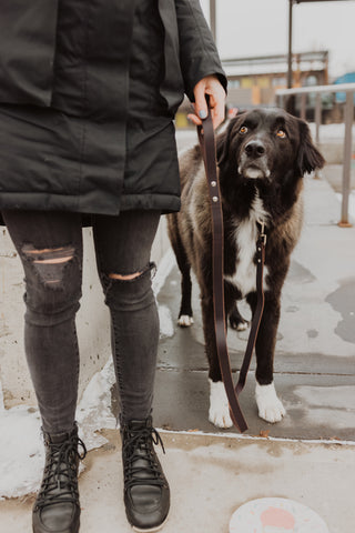 Big black dog looks up at owner wearing black jeans and coat.