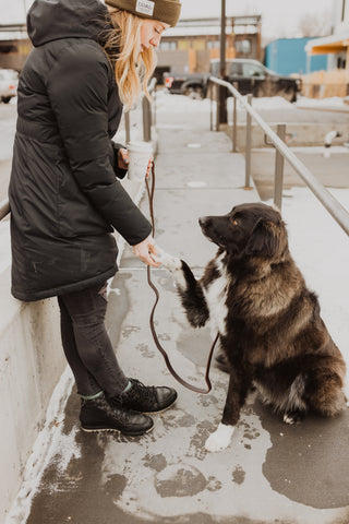 Blonde woman in black coat and pants asks black dog to shake paw outside.