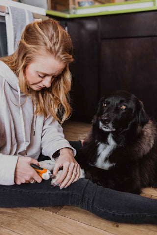 Woman sits on floor clipping her black dog's nails with Mighty Paw Nail Clipper