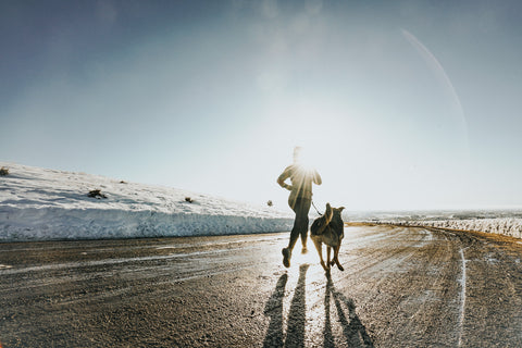 Woman goes for run with dog on road with snow on the ground using Mighty Paw Hands-Free Leash.