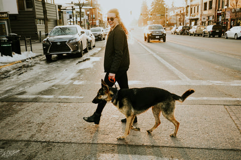 Woman takes German Shepard for walk in town during winter using Mighty Paw Short Tab Leash.