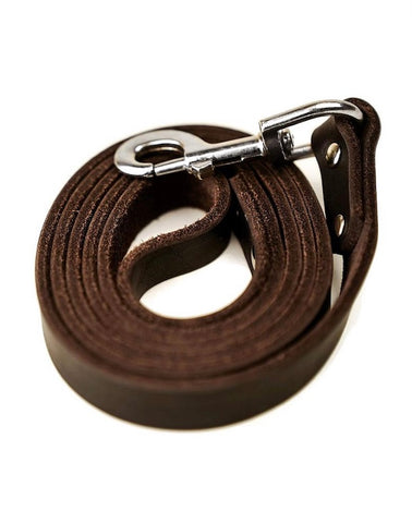 Mighty Paw Leather Dog Leash Brown