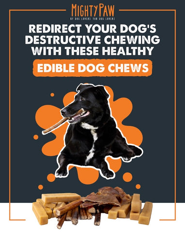 https://cdn.shopify.com/s/files/1/0011/0775/5059/files/Mighty_Paw_Redirect_your_dog_s_destructive_chewing_with_these_healthy_edible_dog_chews_480x480.jpg?v=1632304392