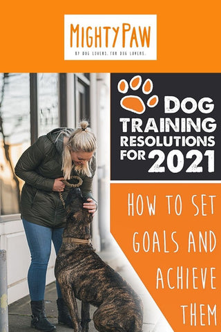 Mighty Paw Blog - Dog Training Resolutions for 2021: How To Set Goals And Achieve Them