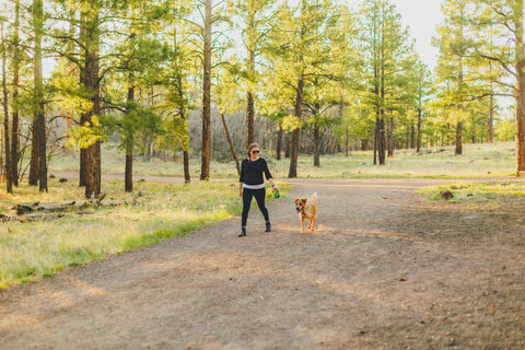 Woman takes her tan dog for a walk in the woods with the Mighty Paw Retractable Leash.