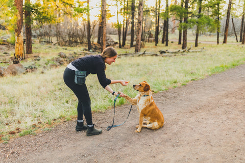 Woman gives her dog a treat outside in the woods while her dog gives her paw.