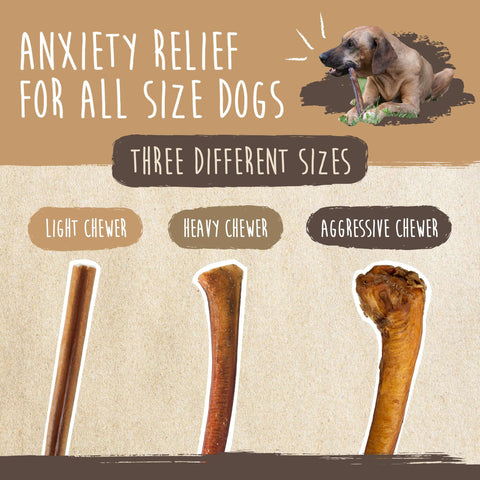 Mighty Paw Bully Stick Subscription for Dogs