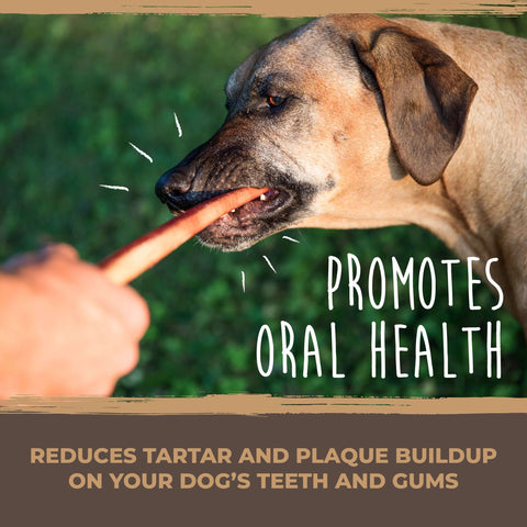 The Mighty Paw Naturals Bully Sticks promote oral health