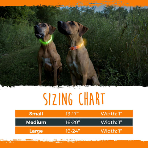 Sizing Chart for the Mighty Paw LED Dog Collar