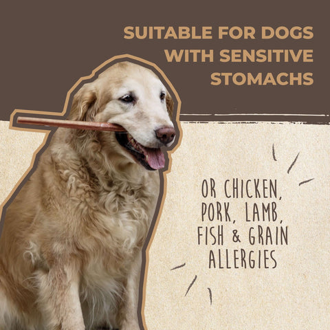 Mighty Paw Naturals Bully Sticks are suitable for dogs with sensitive stomachs