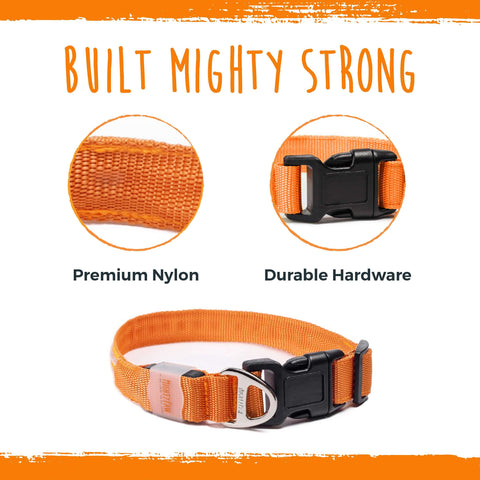 The Mighty Paw LED Dog Collar is built mighty strong