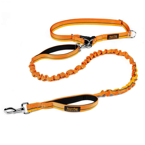 Mighty Paw Hands-Free Bungee Dog Leash 2.0