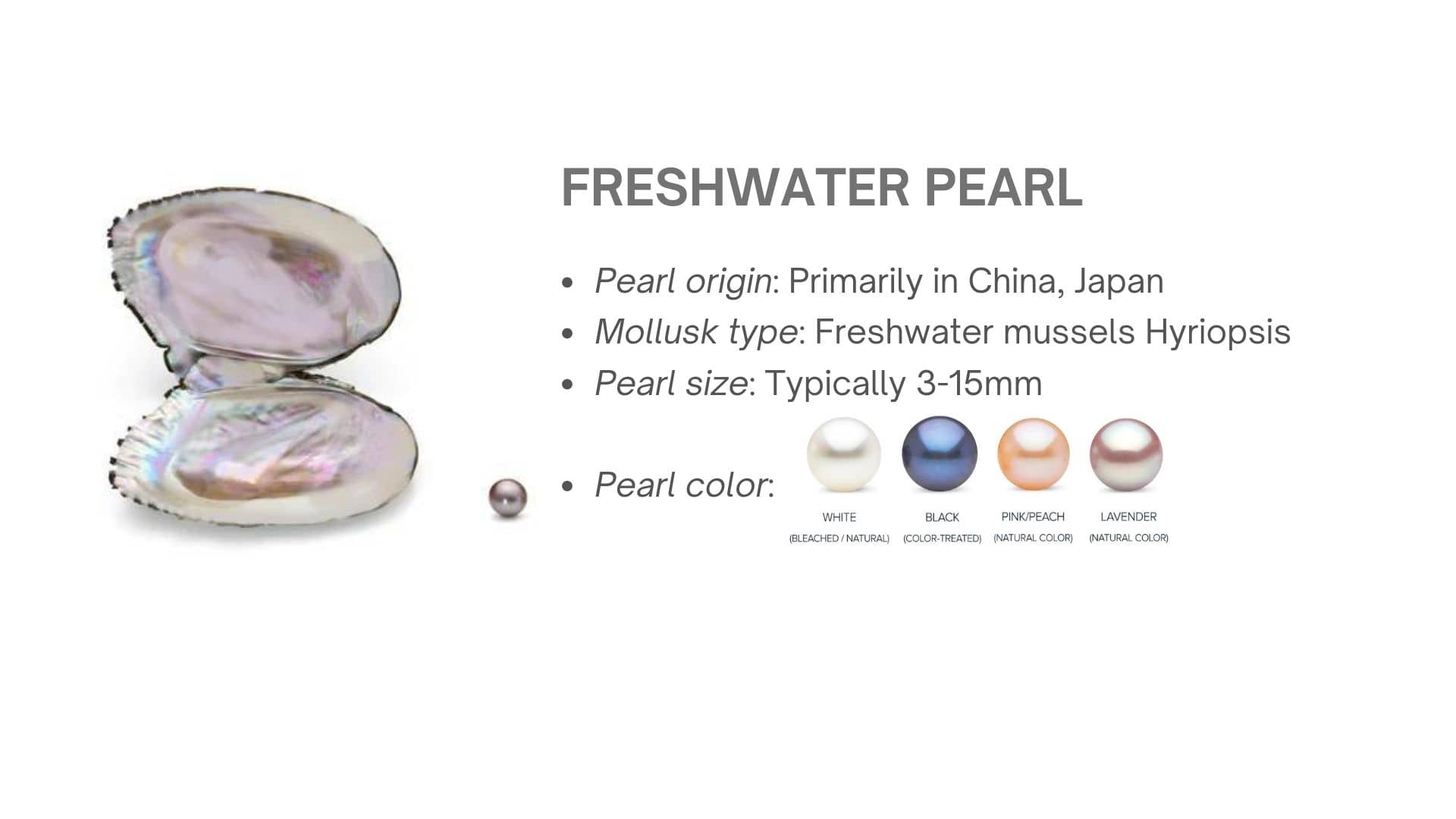 Freshwater Cultured Pearl - AME Jewellery