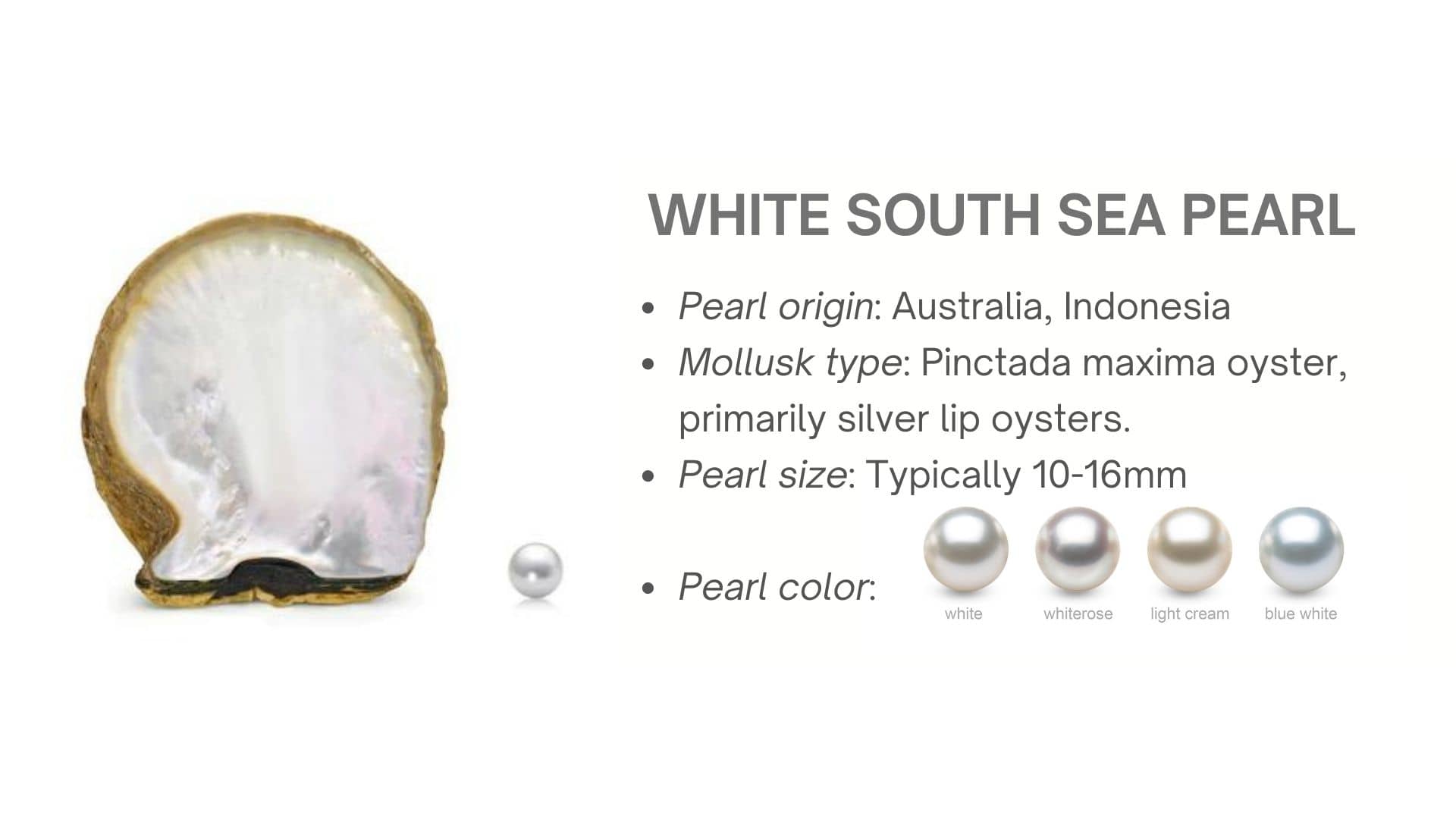 White South Sea Pearls - AME Jewellery