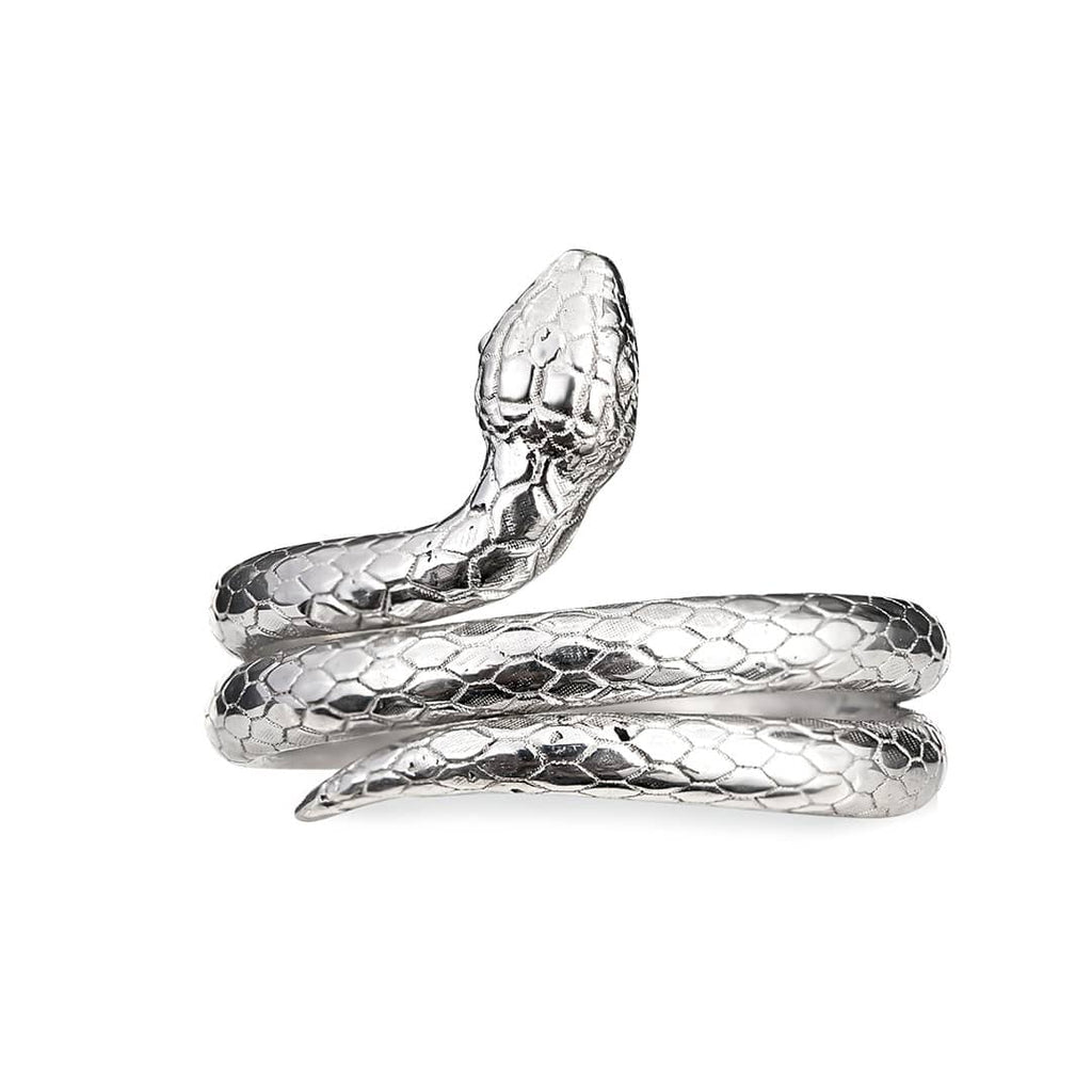 Snake Silver Ring for Women | AME Jewelery– AME Jewellery