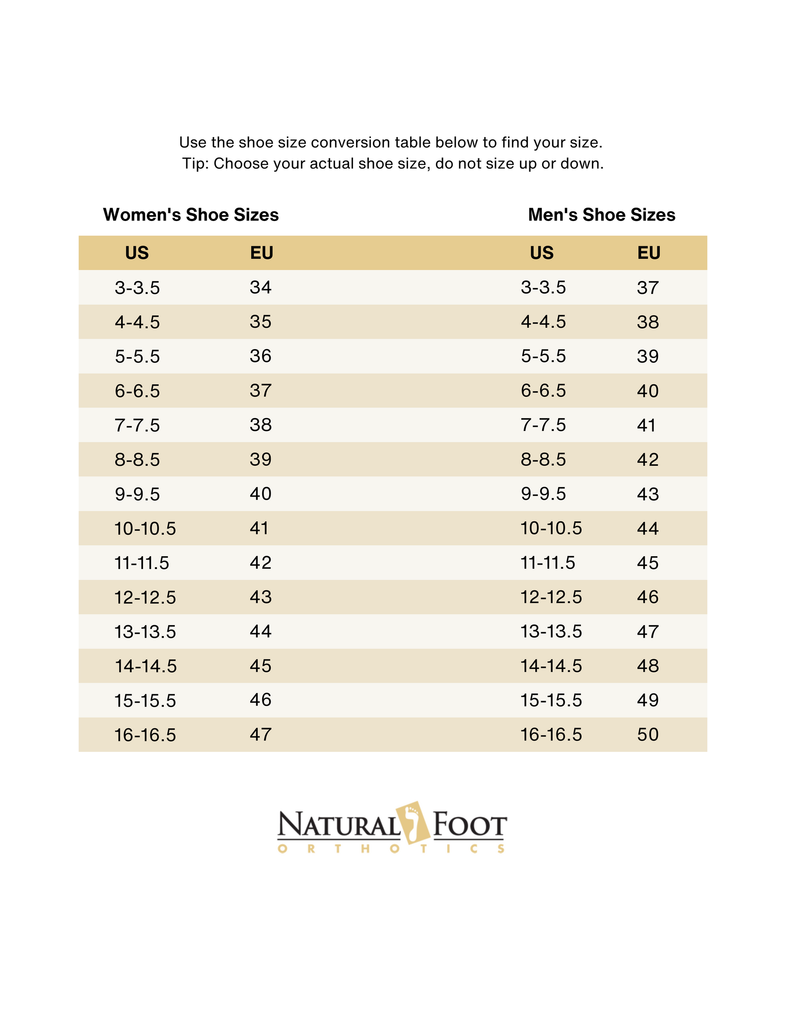 NFO_Size Guide