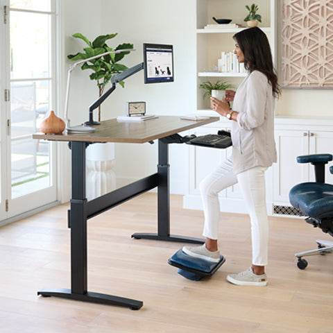 Shop Adjustable Standing Desks Relax The Back