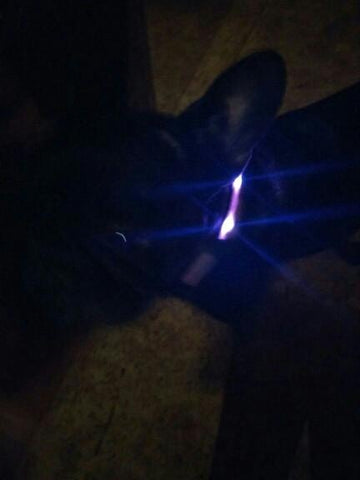gog-led-collar03