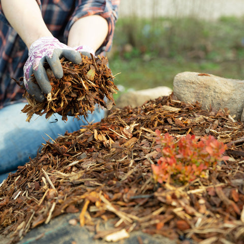 Mulch beds