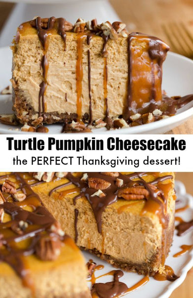turtle pumpkin cheesecake Friday apparel clothing blog thanksgiving