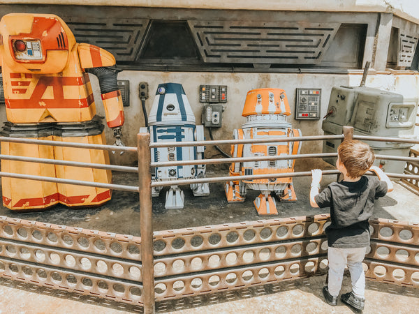 galaxy's edge droids Disneyland Friday apparel