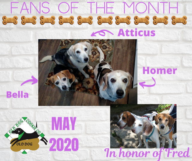 dog bone of the month club