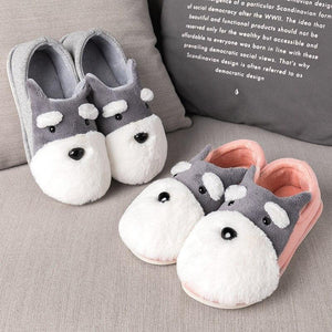 schnauzer slippers