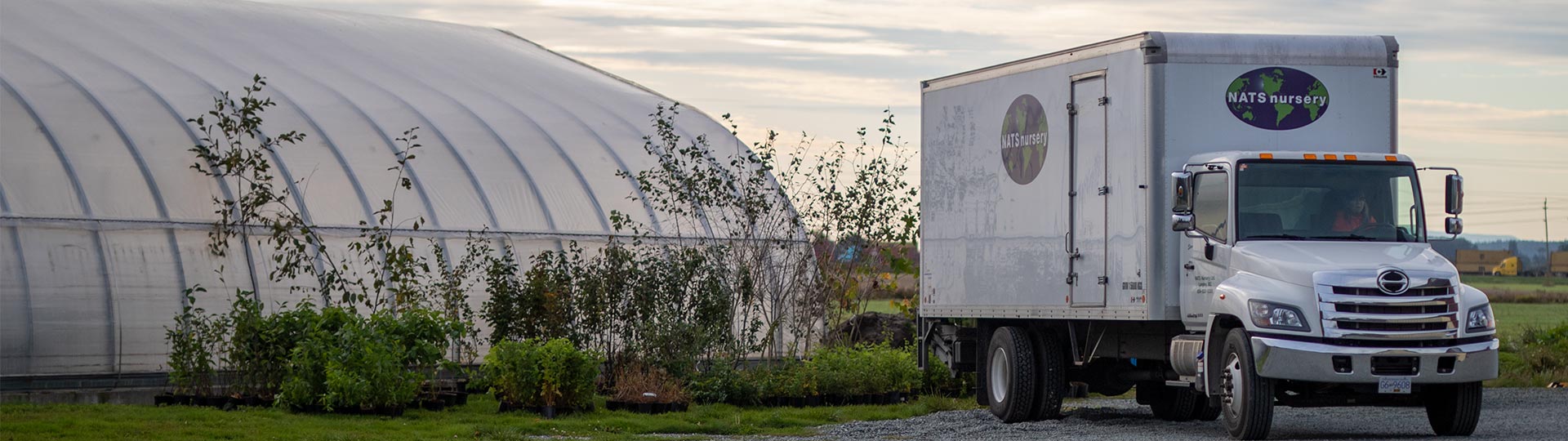 Delivering the first load of plants