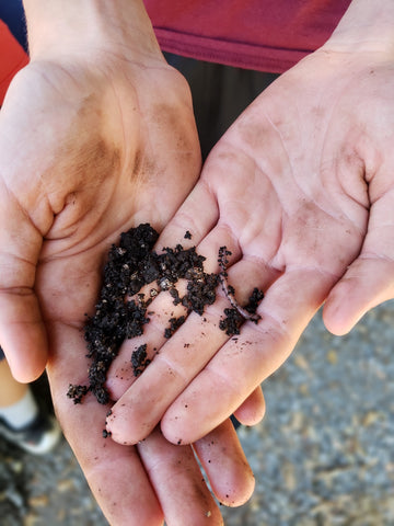 Worms in hands, KidSafe garden project