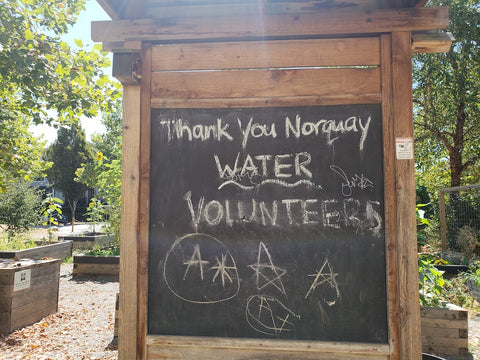 Thank you to Volunteers sign at KidSafe Norquay