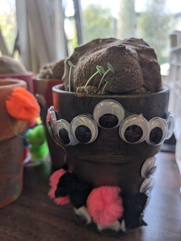 Pot with googly eyes on it, KidSafe