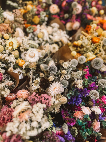 Beautiful image of dried flowers, image courtesy of Nikki @ladyshatfarm