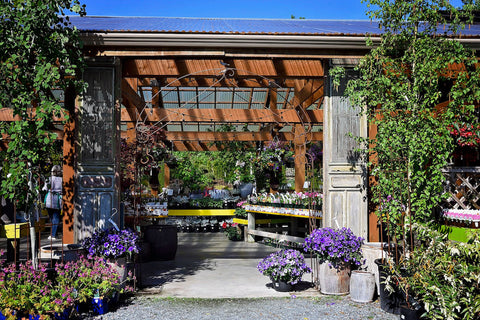 Walking into the garden centre at Tanglebank Gardens Abbotsford