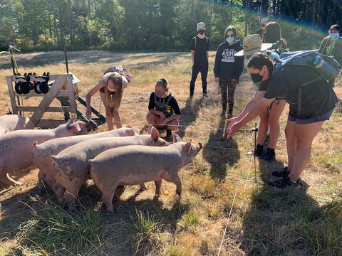 Seed the City interacting with pigs