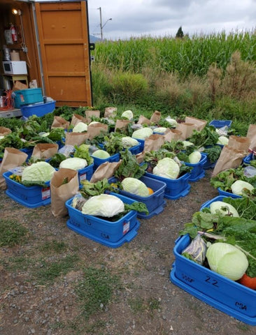 Containers of produce grown at Sardis Secondary School Farm, Chilliwack