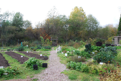 Late fall at Sunshine Coast Botanical Garden