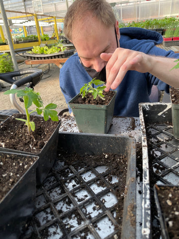 Person examining a seedling at Providence Farm