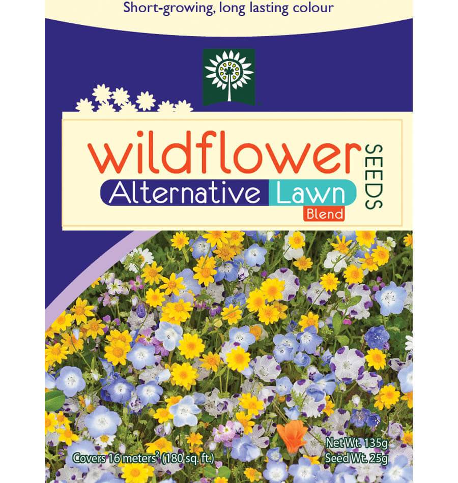 Alternative Lawn Wildflower Seeds – West Coast Seeds