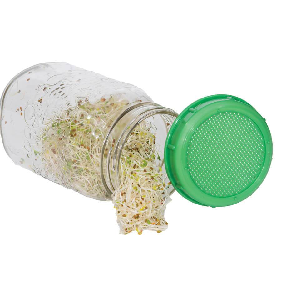 Plastic Sprouting Screen/Lid - West Coast Seeds product image