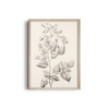 Bloom and Branch Wall Art