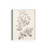 Bloom and Branch Wall Art