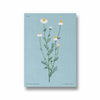 Floral Reverie Botanical Modern Wall Art