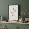 Mountain Ragweed Botanical Wall Art