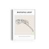 Banana Leaf Modern Line Wall Art