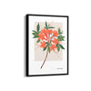 Bloom Chronicles Botanical Modern Wall Art