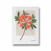 Bloom Chronicles Botanical Modern Wall Art