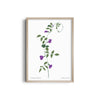 Naturistic Dreams Botanical Modern Wall Art