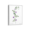 Naturistic Dreams Botanical Modern Wall Art