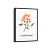 Nature's Palette Botanical Modern Wall Art