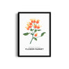 Nature's Palette Botanical Modern Wall Art